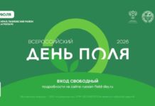 «Всероссийский день поля – 2026» представит передовые достижения российского АПК