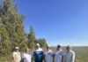 Совместные обследования приграничных районов Алтайского края и Казахстана по саранчовым вредителям продолжаются